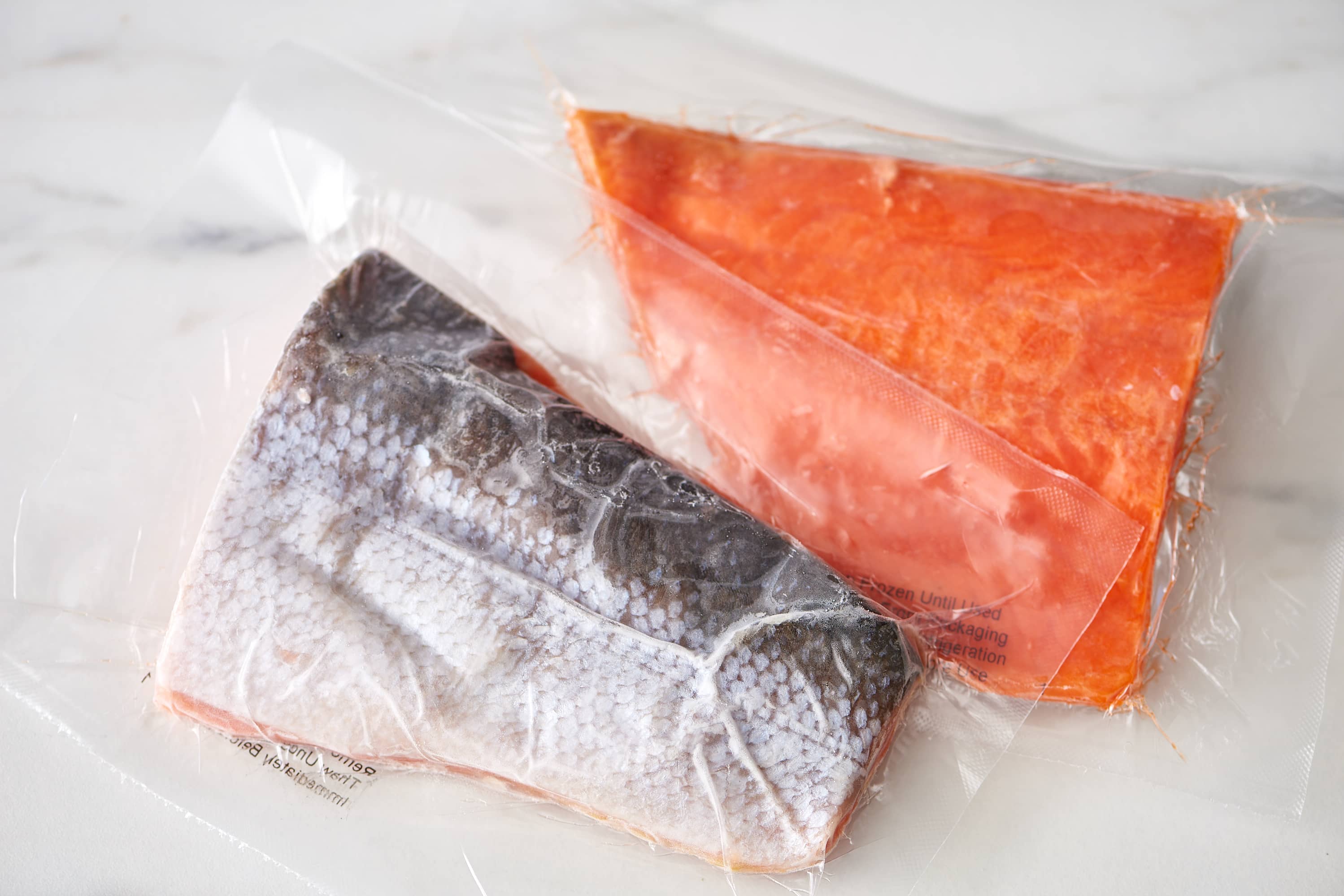Salmon