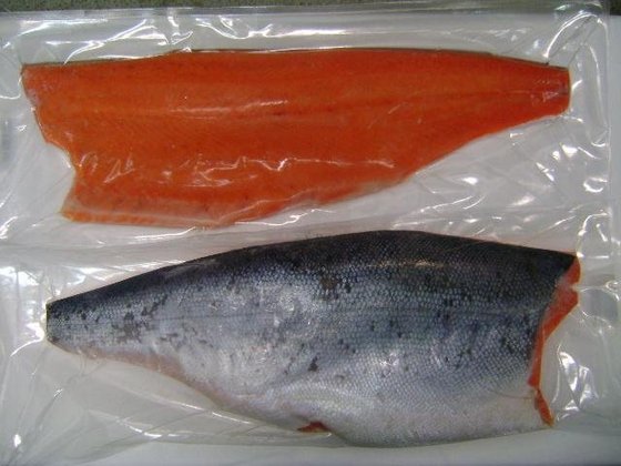 Salmon Fillets