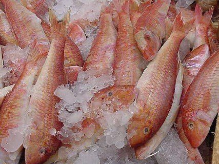 Frozen Red Mallet fish by HBK WHOLESALES PTY LTD, frozen red mallet fish | ID - 4367584