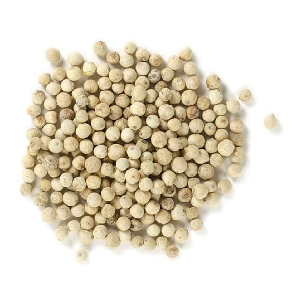 Dried White Pepper Seeds by Thirumugil Traders, dried white pepper seeds | ID - 4902421