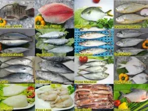 Fresh Frozen Fish