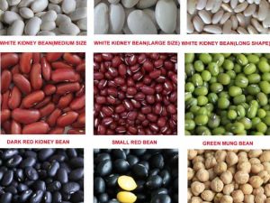 Kidney Beans Wholesale