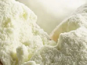 Goat Milk Powder Wholesale